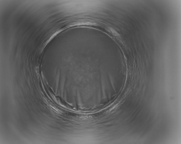 X0000059231369200511111537