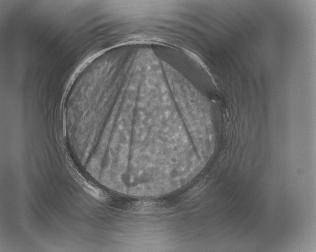 X0000059231371200511111537