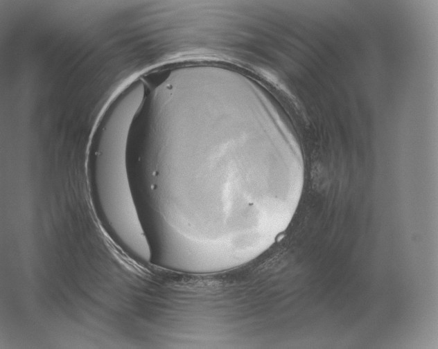 X0000059231372200511111537