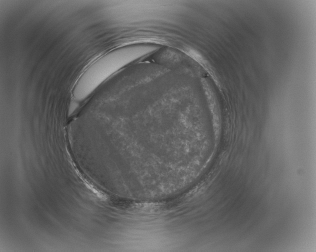 X0000059231377200511111537