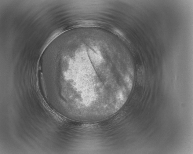 X0000059231378200511111537