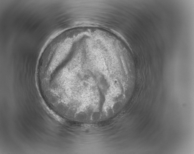 X0000059231379200511111537