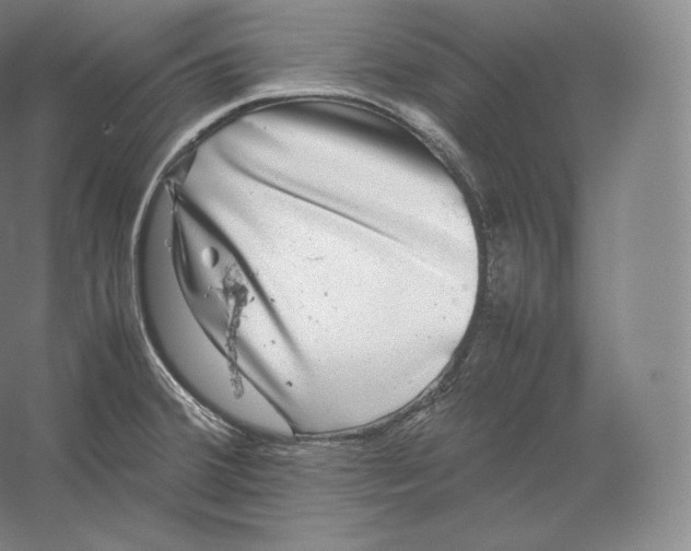 X0000059231380200511111537