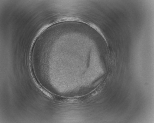 X0000059231381200511111537