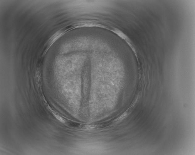 X0000059231385200511111537