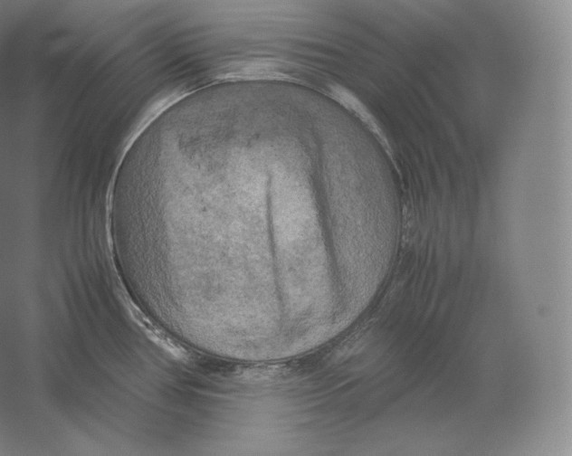 X0000059231386200511111537