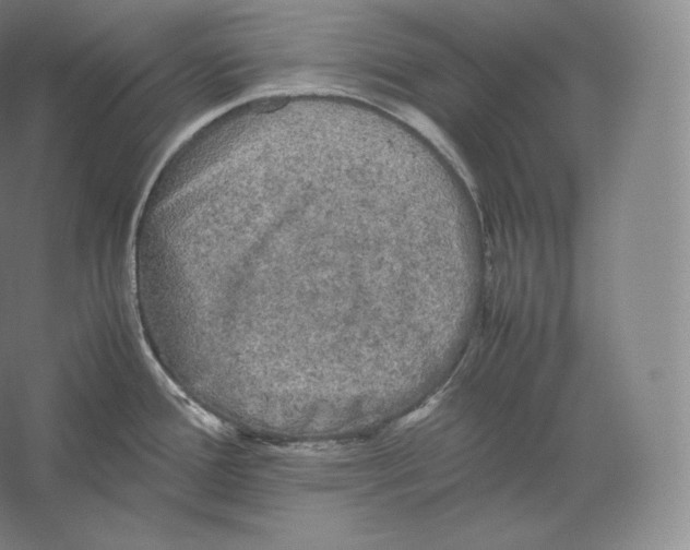 X0000059231388200511111537