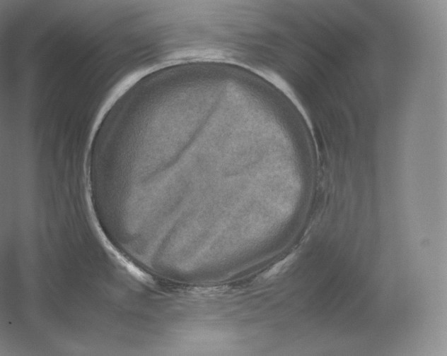 X0000059231389200511111537