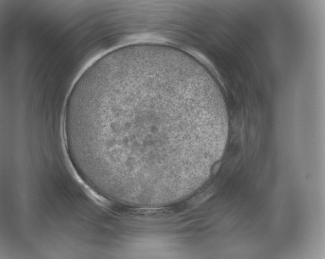 X0000059231391200511111537