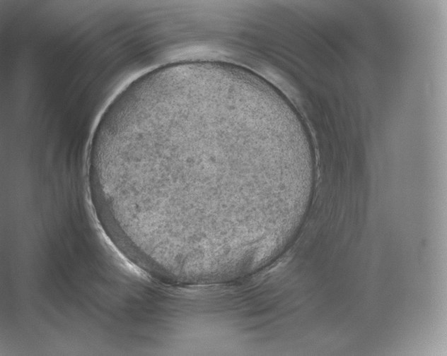 X0000059231392200511111536