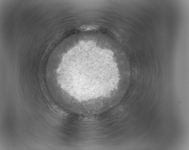 X0000059231393200511111536