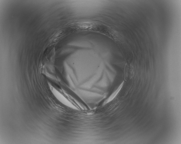 X0000059231394200511111536