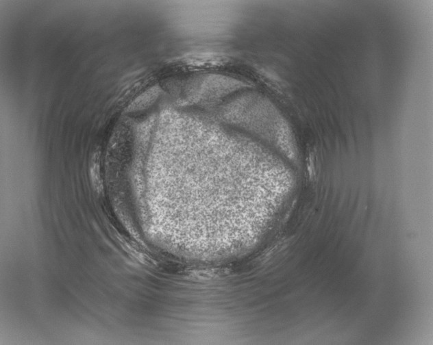 X0000059231396200511111536