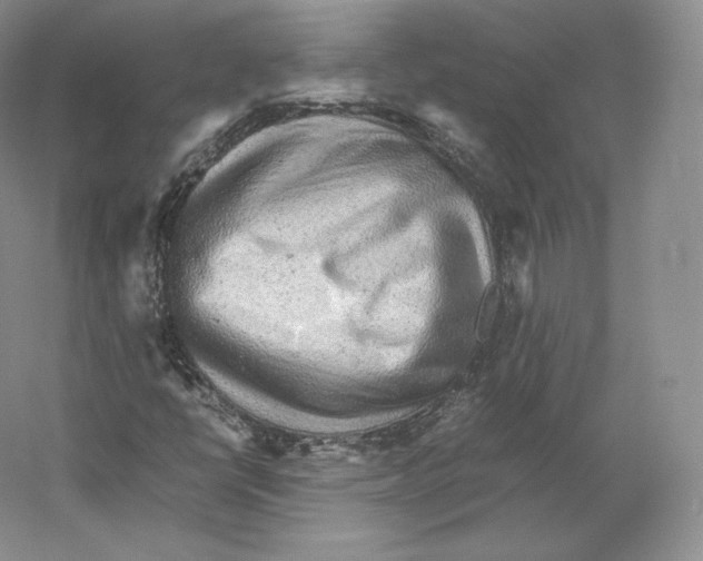 X0000059231398200511111536