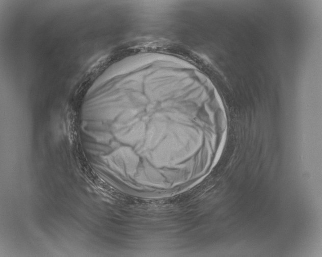 X0000059231399200511111536