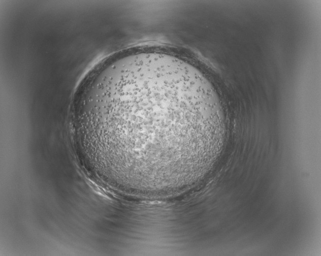 X0000059231400200511111536