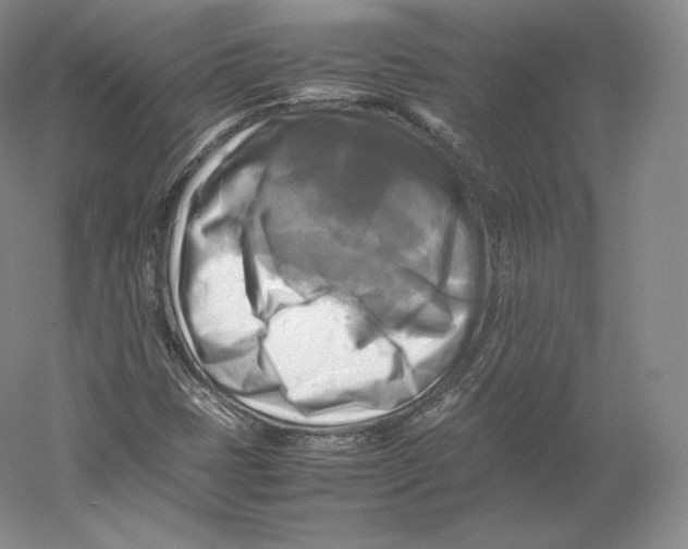 X0000059231401200511111536