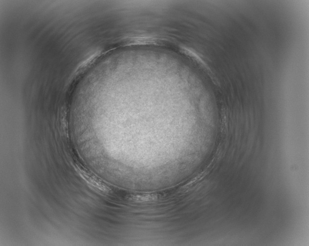 X0000059231403200511111536