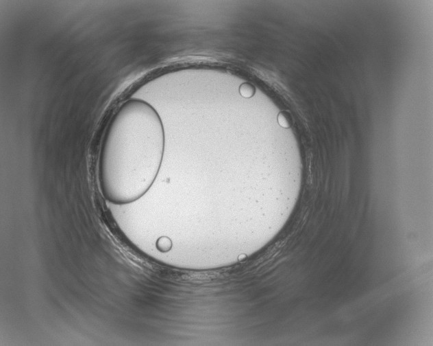 X0000059231404200511111536