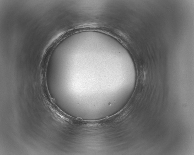 X0000059231406200511111536