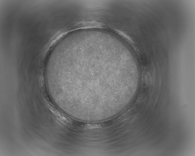 X0000059231407200511111536