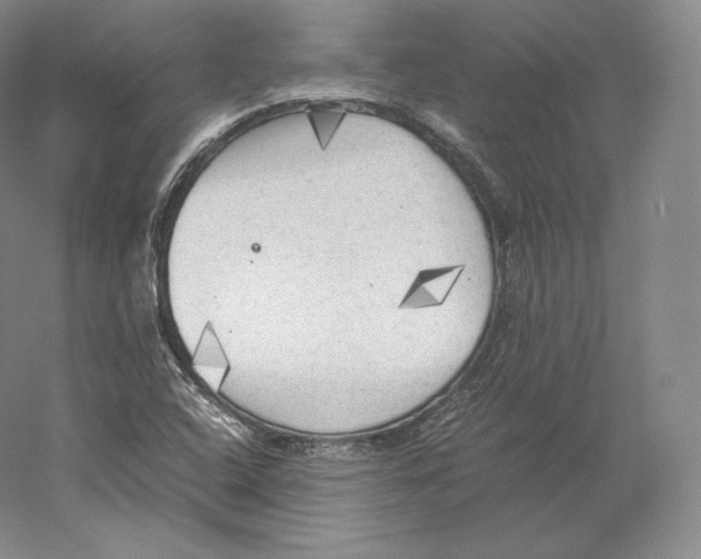 X0000059231408200511111536