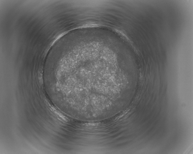 X0000059231409200511111536