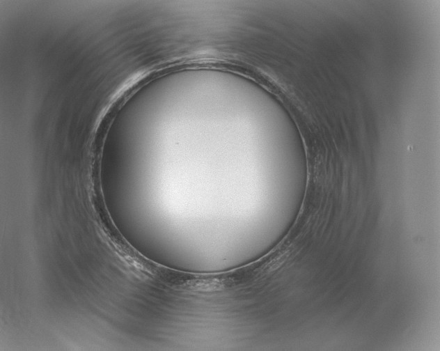 X0000059231410200511111536