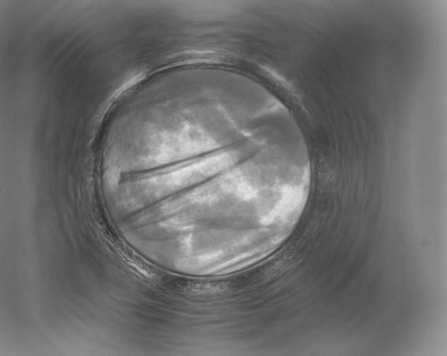 X0000059231411200511111536