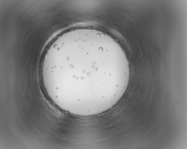 X0000059231412200511111536