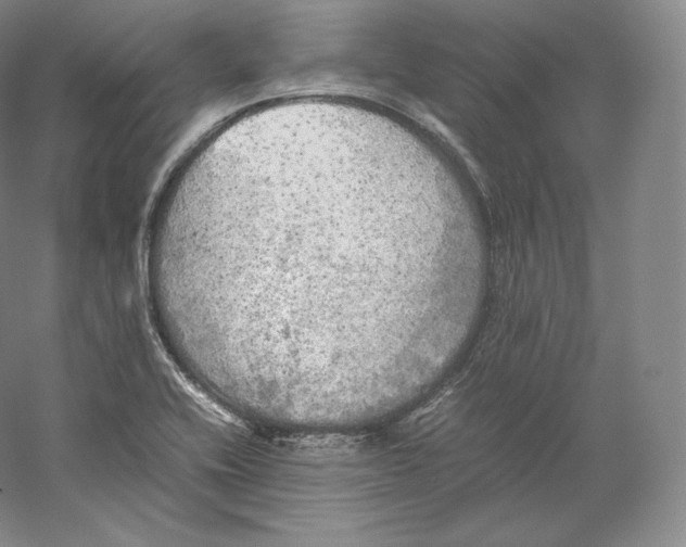 X0000059231416200511111536