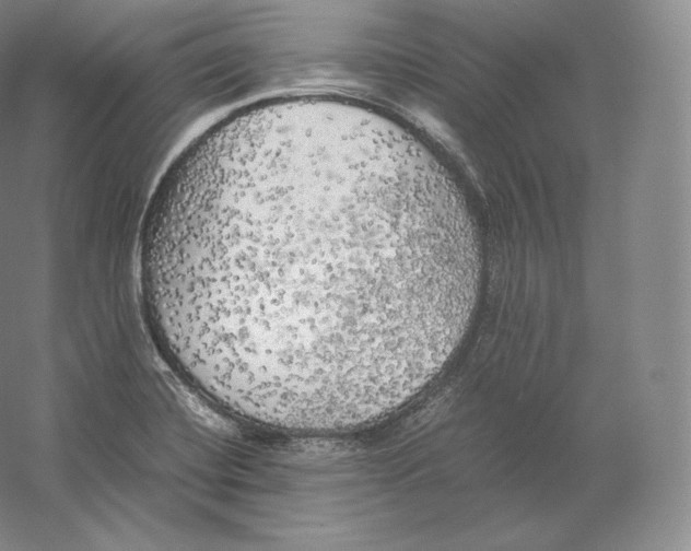 X0000059231420200511111536