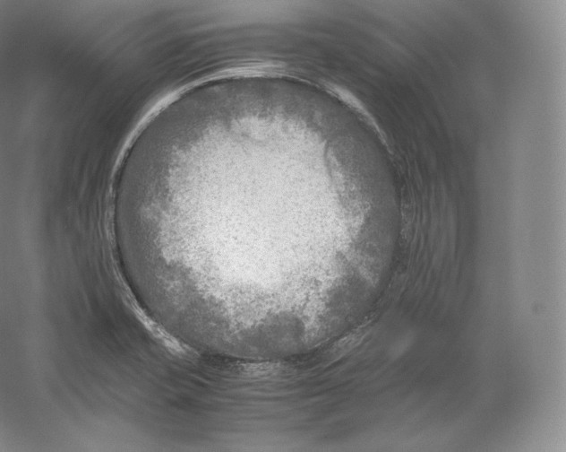 X0000059231421200511111536