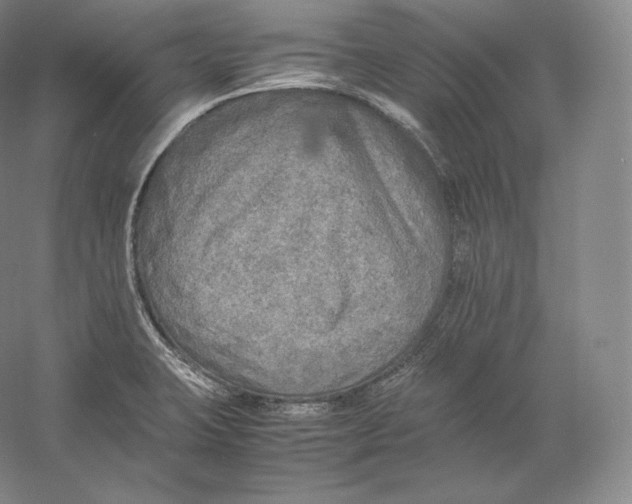 X0000059231423200511111536