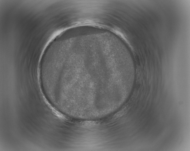 X0000059231424200511111536