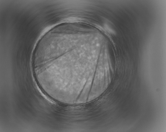 X0000059231429200511111536