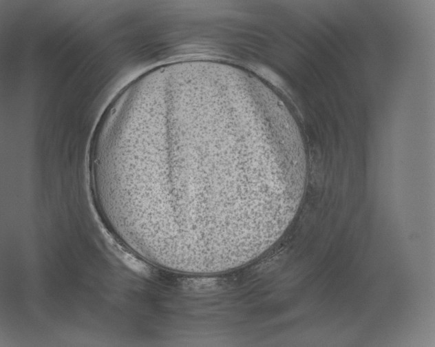 X0000059231431200511111536