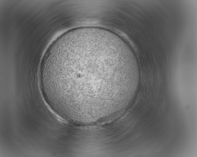 X0000059231432200511111536