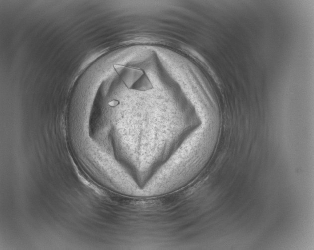 X0000059231433200511111536