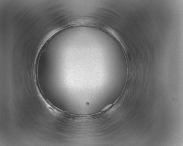 X0000059231434200511111536