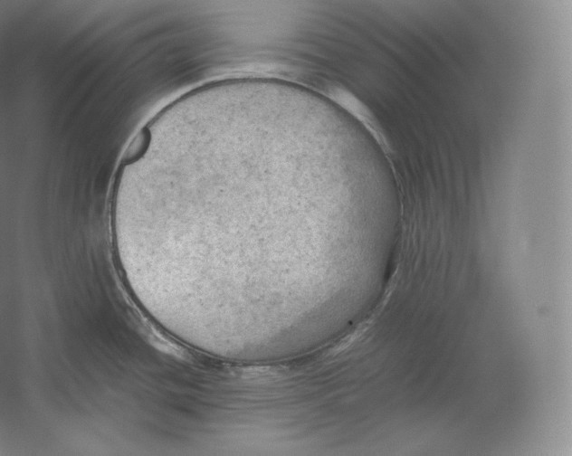 X0000059231436200511111536