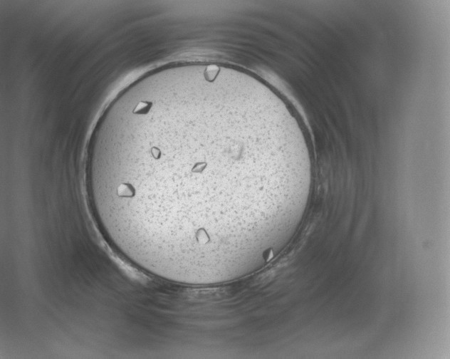 X0000059231437200511111536