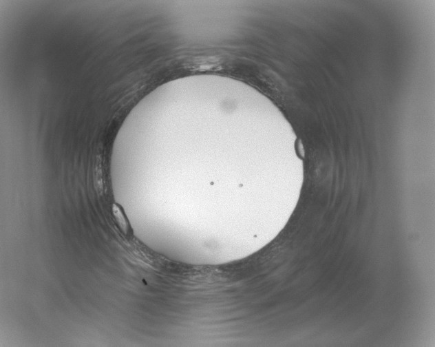 X0000059231442200511111536