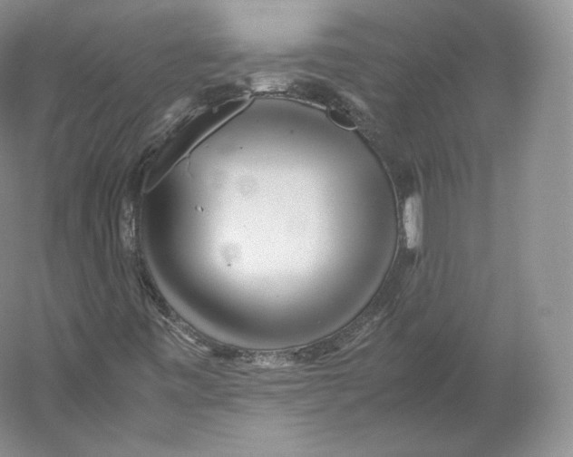 X0000059231443200511111536