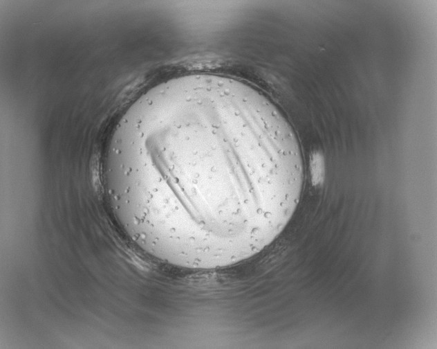 X0000059231444200511111536