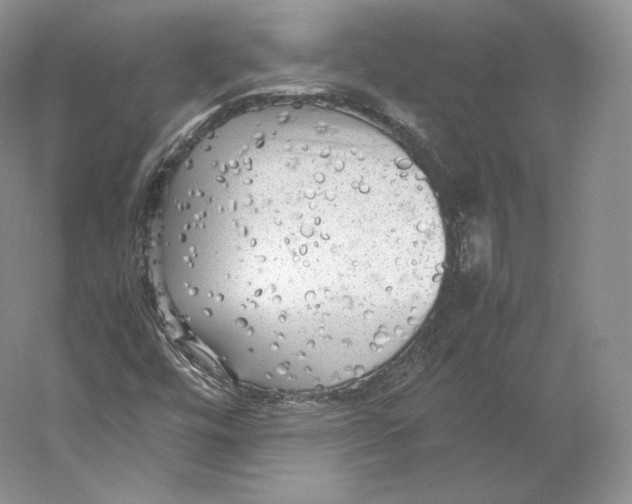 X0000059231448200511111536