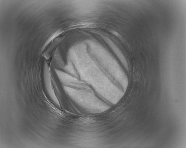 X0000059231450200511111536