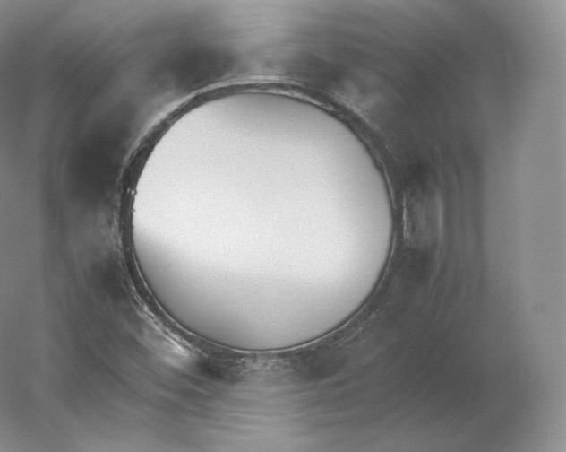 X0000059231452200511111535