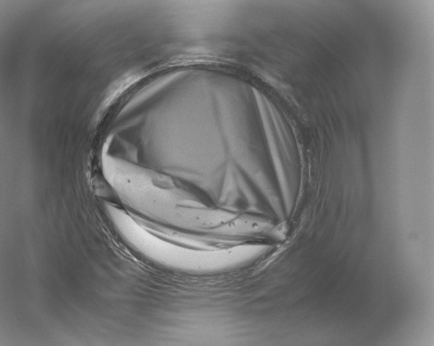 X0000059231453200511111535