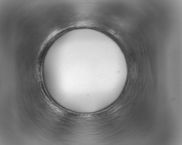 X0000059231454200511111535